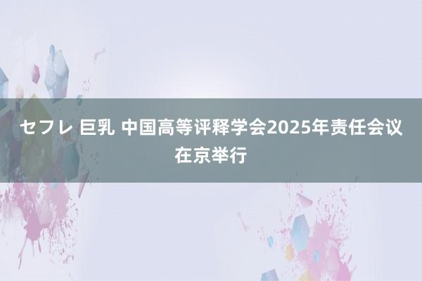 セフレ 巨乳 中国高等评释学会2025年责任会议在京举行