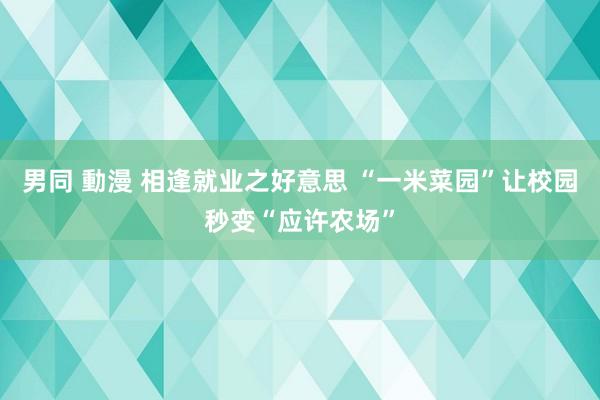 男同 動漫 相逢就业之好意思 “一米菜园”让校园秒变“应许农场”