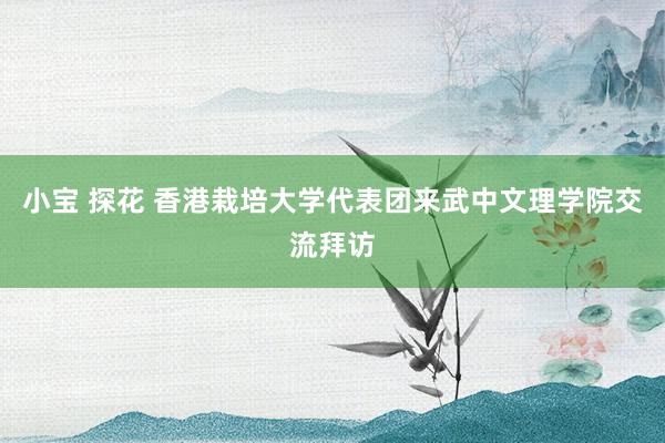 小宝 探花 香港栽培大学代表团来武中文理学院交流拜访
