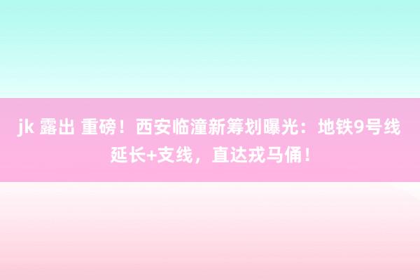 jk 露出 重磅！西安临潼新筹划曝光：地铁9号线延长+支线，直达戎马俑！