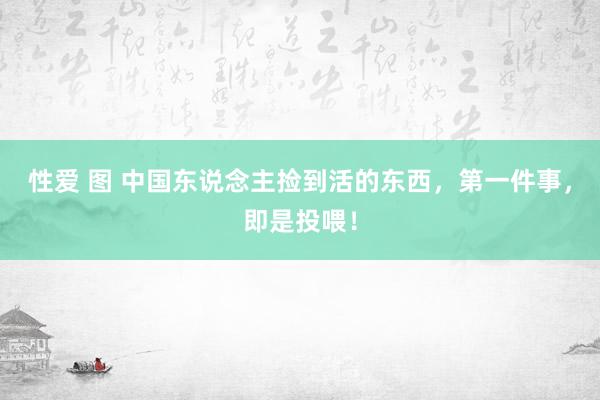 性爱 图 中国东说念主捡到活的东西，第一件事，即是投喂！