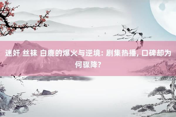 迷奸 丝袜 白鹿的爆火与逆境: 剧集热播, 口碑却为何骤降?
