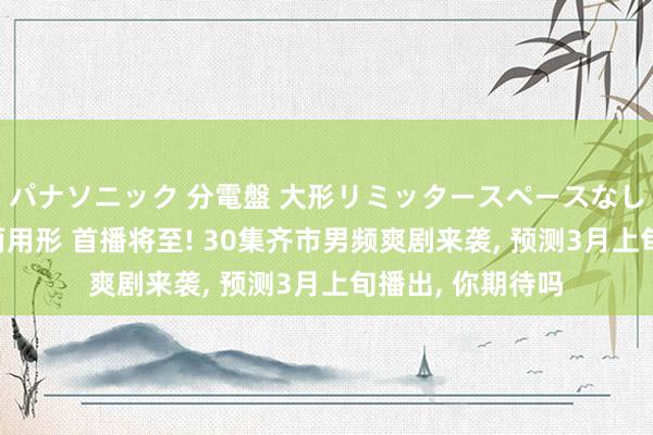パナソニック 分電盤 大形リミッタースペースなし 露出・半埋込両用形 首播将至! 30集齐市男频爽剧来袭, 预测3月上旬播出, 你期待吗