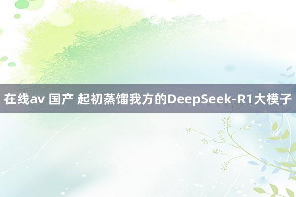 在线av 国产 起初蒸馏我方的DeepSeek-R1大模子