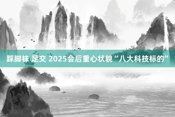 踩脚袜 足交 2025会后重心状貌“八大科技标的”