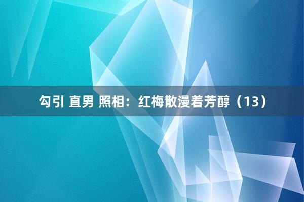 勾引 直男 照相：红梅散漫着芳醇（13）
