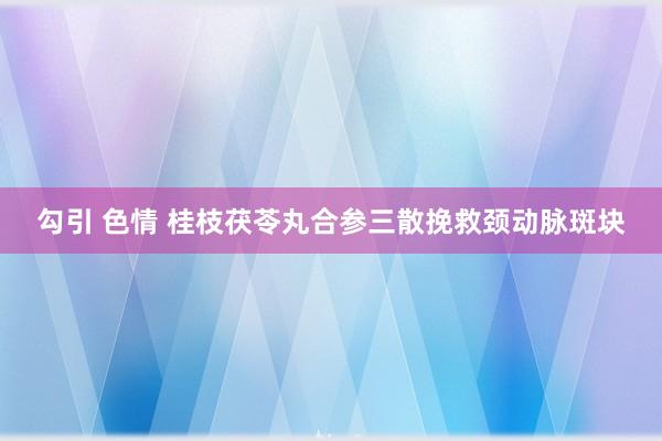 勾引 色情 桂枝茯苓丸合参三散挽救颈动脉斑块