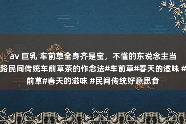 av 巨乳 车前草全身齐是宝，不懂的东说念主当成草，今天共享沿路民间传统车前草茶的作念法#车前草#春天的滋味 #民间传统好意思食